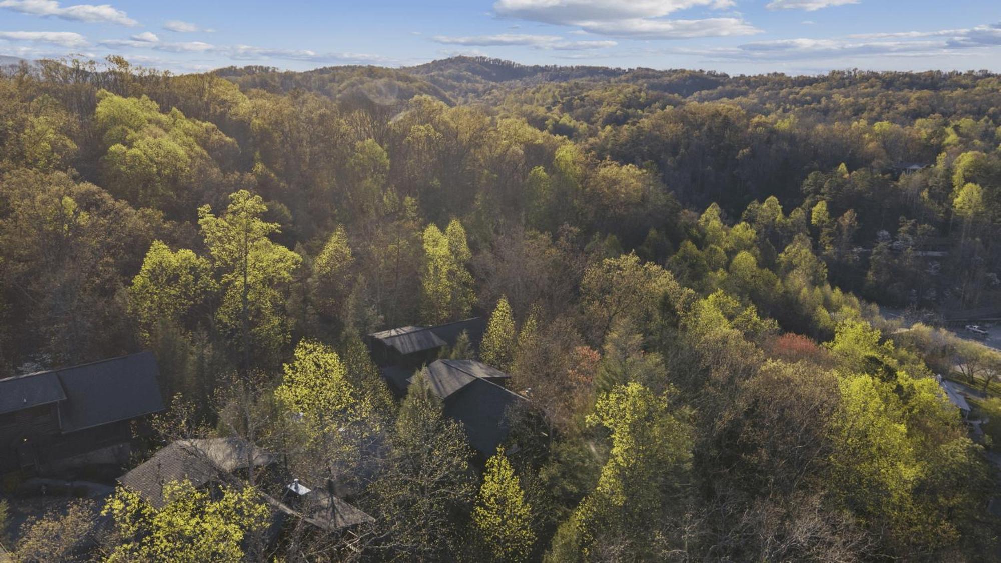 Stunning Mountain Cabin W Hot Tub Gatlinburg Exterior foto
